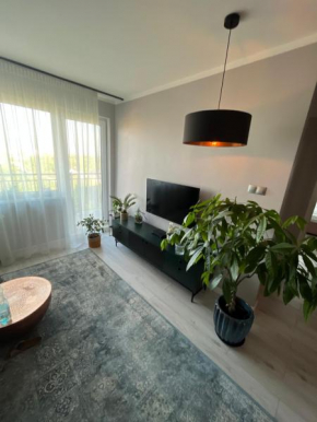 Apartament z widokiem - BlaBlaFlat Szczecin Ku Słońcu